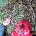 Biohazard